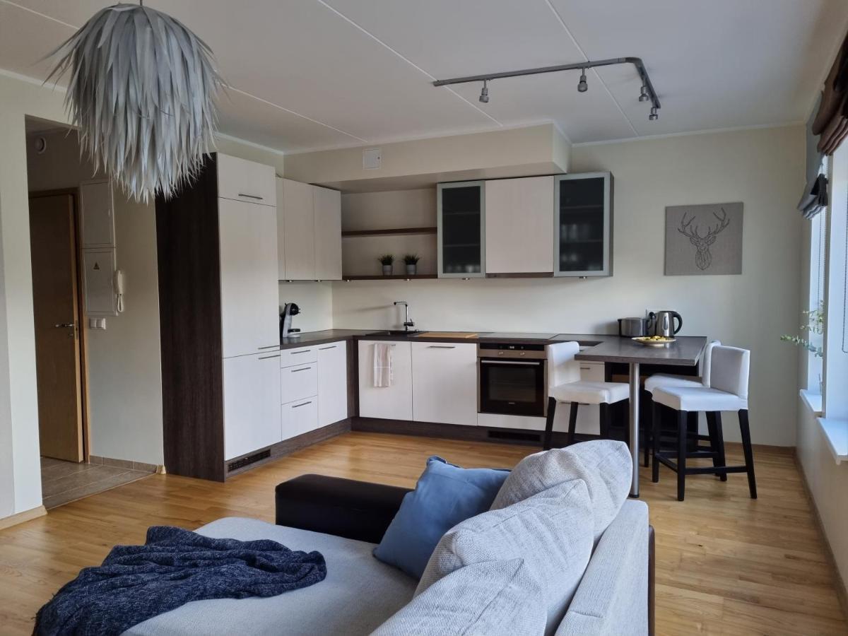 R63 Apartment With Terrace Тарту Экстерьер фото